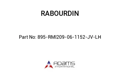 895-RMI209-06-1152-JV-LH