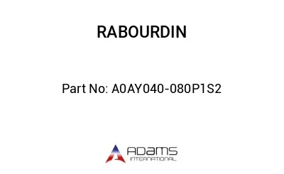 A0AY040-080P1S2