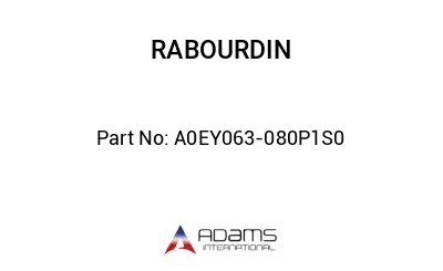 A0EY063-080P1S0