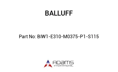 BIW1-E310-M0375-P1-S115									