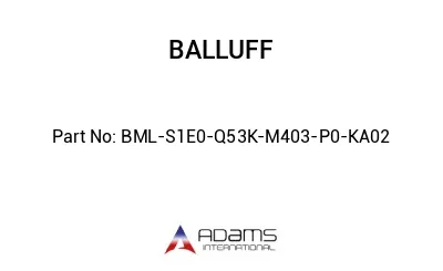 BML-S1E0-Q53K-M403-P0-KA02									