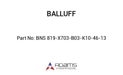 BNS 819-X703-B03-K10-46-13									