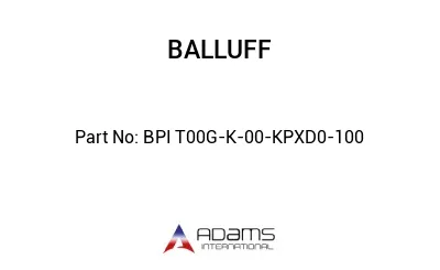 BPI T00G-K-00-KPXD0-100									
