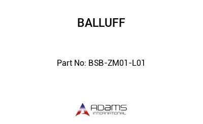 BSB-ZM01-L01									