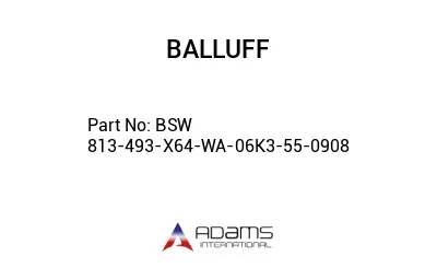 BSW 813-493-X64-WA-06K3-55-0908									